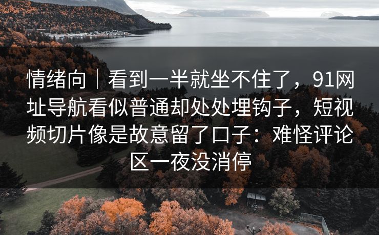 情绪向｜看到一半就坐不住了，91网址导航看似普通却处处埋钩子，短视频切片像是故意留了口子：难怪评论区一夜没消停